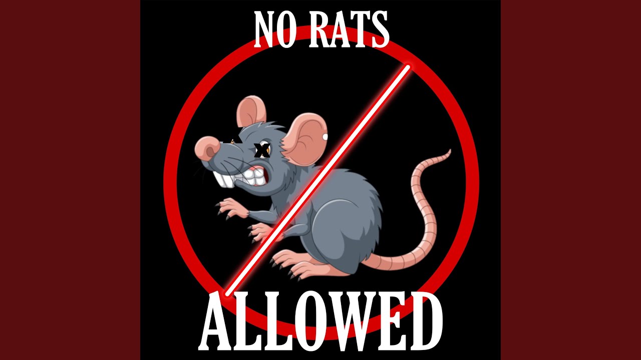 No rats allowed