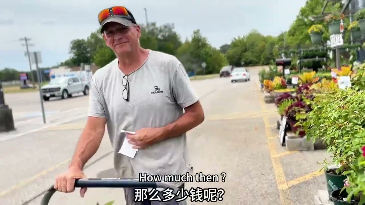 秋菊，来给我的小院也添点秋意吧。