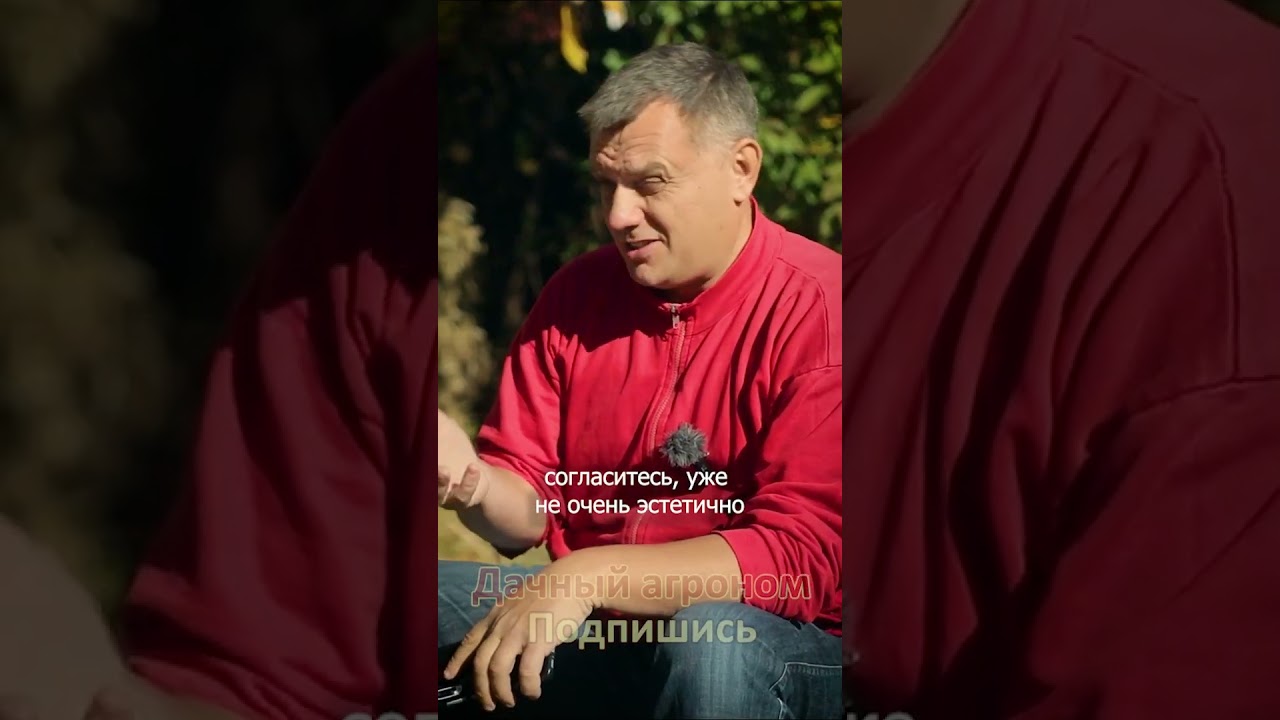 БЕСПЛАТНО Превращаем опавшие листья в удобрение Дачный агроном