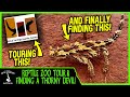 REPTILE ZOO TOUR & FINDING A THORNY DEVIL IN AUSTRALIA!