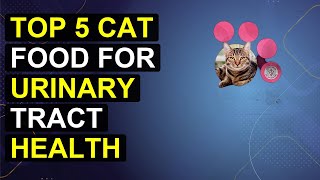 Top 5 Cat Food For Urinary Tract Health 2026 | Healthy Cat Food For Urinary Care