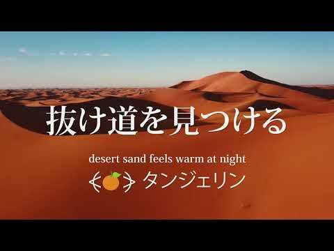 desert sand feels warm at night & ⦓🍊⦔ タンジェリン - 抜け道を見つける