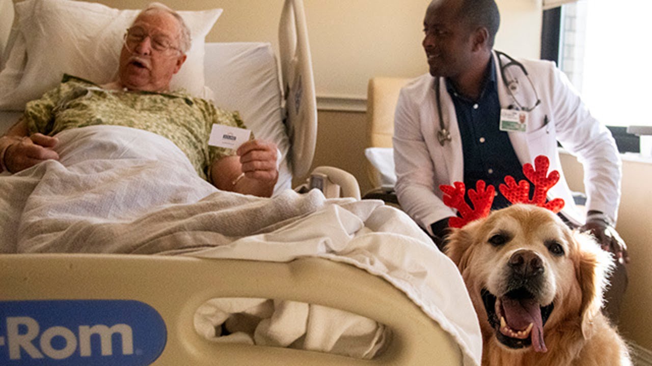 Macon doctor's therapy dog lifts spirits at hospital during ...