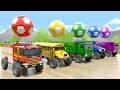 Bingo + La chanson “Wheels On the Bus” – roues en forme de ballons de football – Comptines pour bébé