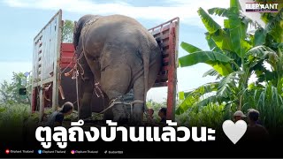 นาทีระทึก❗️นำพลายพาตูลูลงรถ❗️หวาดเสี่ยวทุกนาที💯yearofyou#elephantthailand#พะตูลู