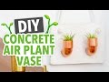 DIY Concrete Air Plant Vase Room Decor - HGTV Handmade