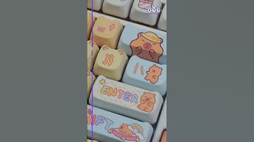 Cute Capybara Keycaps 💗💖 - Akko Capybara Keycaps