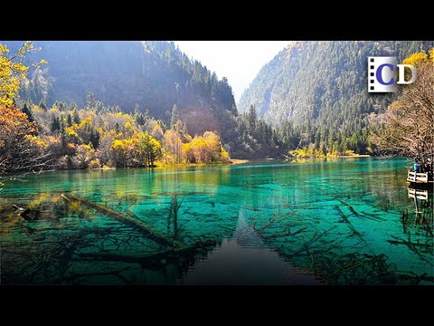 Video: Hur Man Besöker Jiuzhaigou National Park I Kina