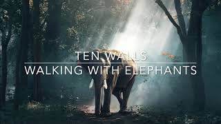 Ten Walls - Walking With Elephants
