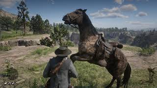 Horse Fight - Rdr2 Gnulinux Gameplay