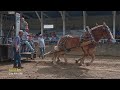 2021 NYSHPA Fall Lightweight horse pull