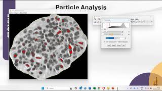 Image J Analyzing Particles