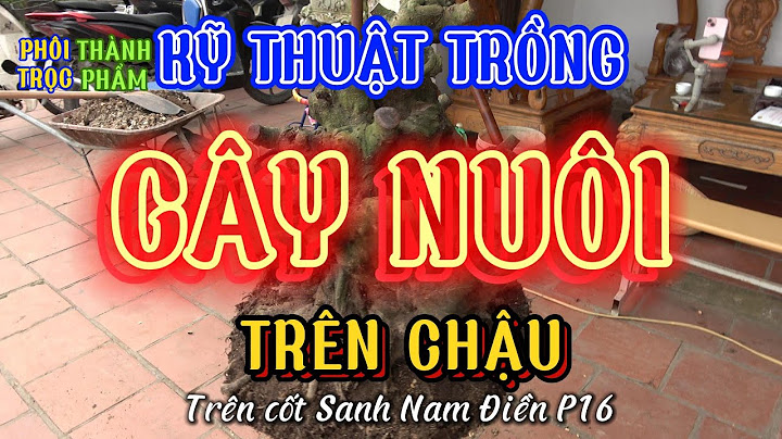 Kỹ thuật đo cơ khí tiếng anh là gì năm 2024