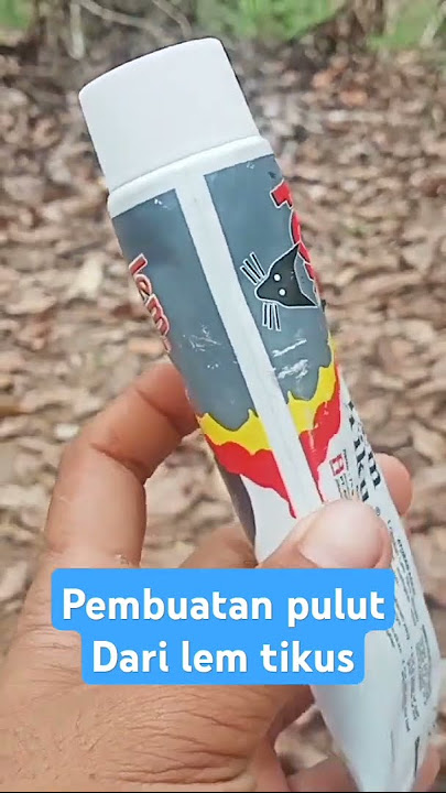 Cara membuat pulut dari Lem tikus #burung #pemikatburung #jejakpetualang