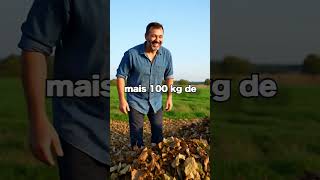 🌿🔥 LE PAULOWNIA : LE SUPER-FOURRAGE QUI CHANGE LA VIE DES ÉLEVEURS ! #paulownia #galonia
