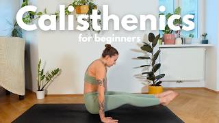 Calisthenics for Beginners | Elbow Lever & L-Sit Follow-Along Net Worth