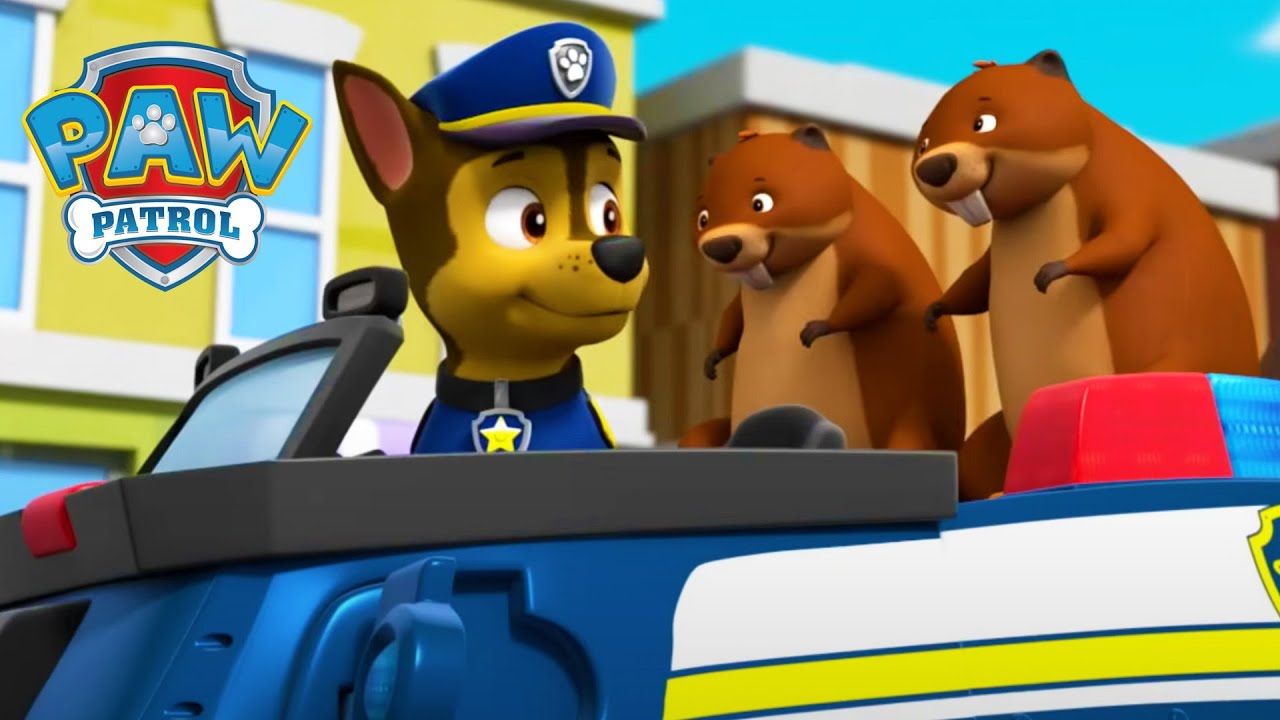 動物救援！- PAW Patrol 汪汪隊立大功 - 兒童卡通