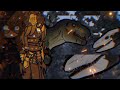 t-rexs react buck vs skullcrawler+tiktok @SealAnimations