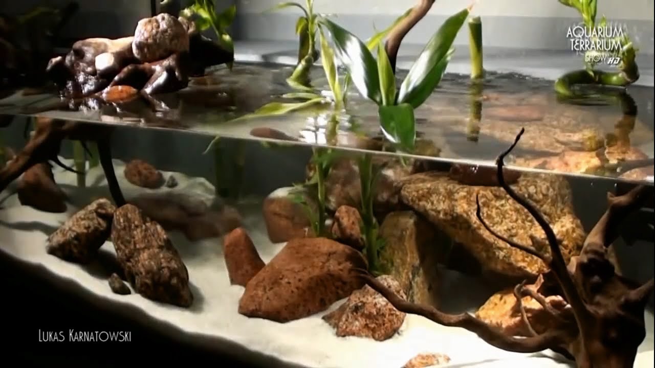 Aquarium Setup/Aqua Terrarium Bamboo Style (Revised Series
