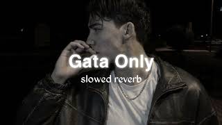 Gata Only  Slowed Reverb   Lofi Melodies