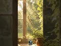 Finally Home | Beautiful Relaxing Music 2