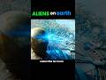ALIENS ON EARTH #movie #film #endingexplain #horror #viralshorts #unitedstates