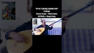 Ayva Turunç Narim Var (