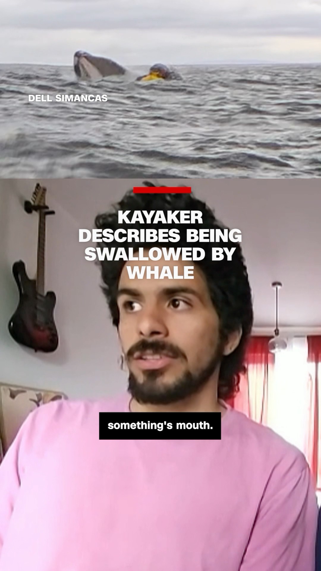 Kayaker describes being swallowed by whale