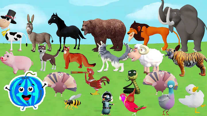 Animal Sound Song || Kids Songs and Nursery Rhymes || Hooray Animal Sounds || EduFam ~ H6