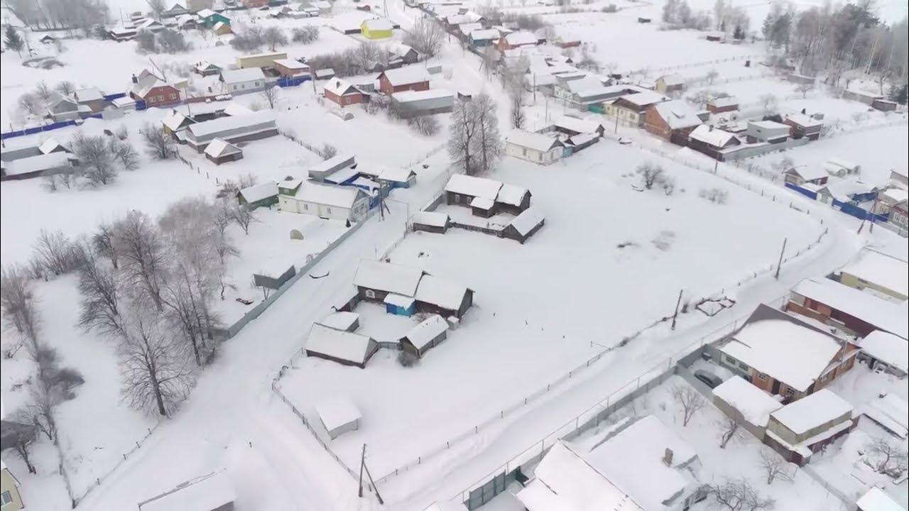 Старые щелканы. Старые щелканы