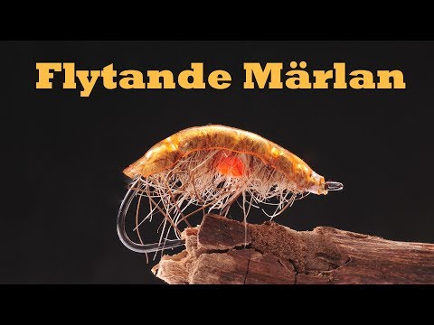 Video: Flytande Limnobium Flyr