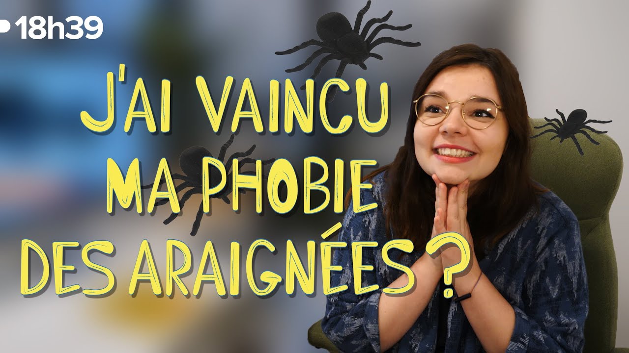Comment j'ai vaincu ma phobie des araignées - YouTube