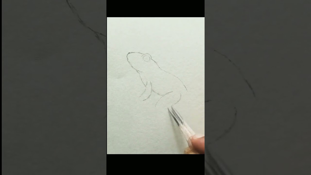 frog drawing 