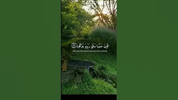{الَّذِينَ صَبَرُوا وَعَلَىٰ رَبِّهِمْ يَتَوَكَّلُونَ} #سوره_العنكبوت #عبدالرحمن_مسعد #راحه_نفسيه