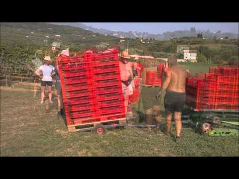 Trypper il trattorino