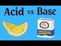 Acids and Bases Explained Through pH and Their Properties