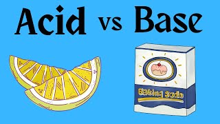 What is a base in Chemistry? Acids and Bases