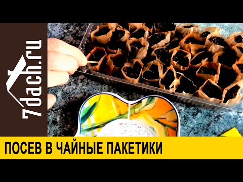 Посев мелких семян в чайные пакетики 7 дач