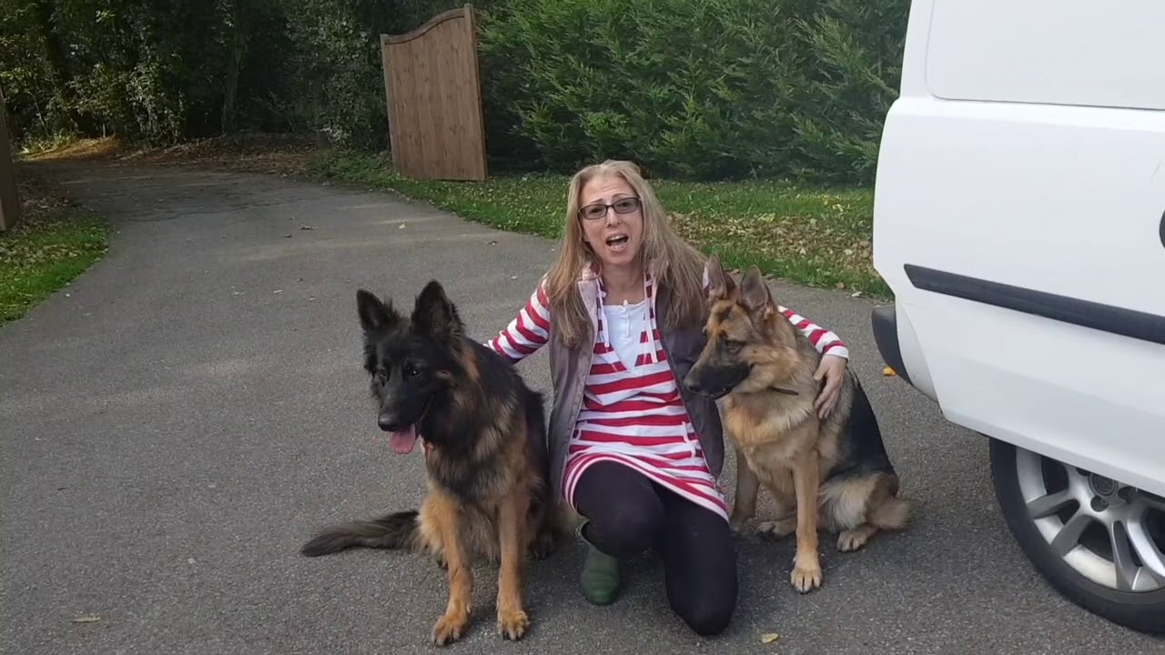 Owner Testimonial OffLeash K9 Training London YouTube