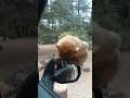 يااا خرااااابي ههه
