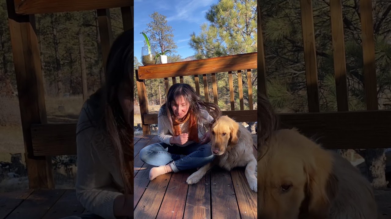 No time like a new year to organize your estate plan