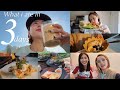 3vlog  3