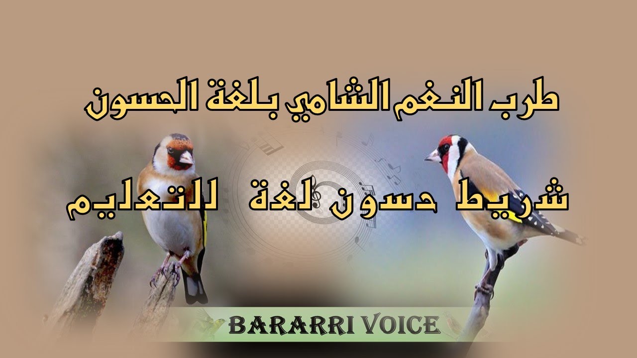 طرب النغم الشامي بلغة الحسون