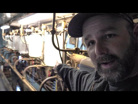 Cars... Cows!! Milking