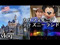 カリフォルニアディズニーvlog|100周年イベント開催中
