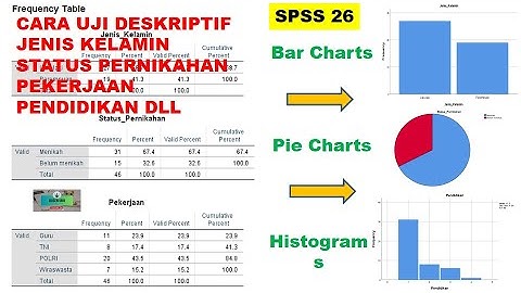 Tutorial Mudah Uji Analisis Deskriptif 3 Charts berbeda.