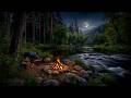 Deep Night Wilderness With Fire And Water Blending Into Calm Silence 