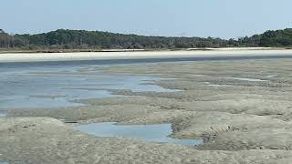 Celebrity Cherry Grove Point SC low tide Net Worth