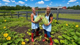 Our Melons are HUGE!!