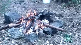 Лесной костер, огонь, природа, лес, часть 2 (видео о природе) Лесной костер, огонь, природа, лес, часть 2 (видео о природе)